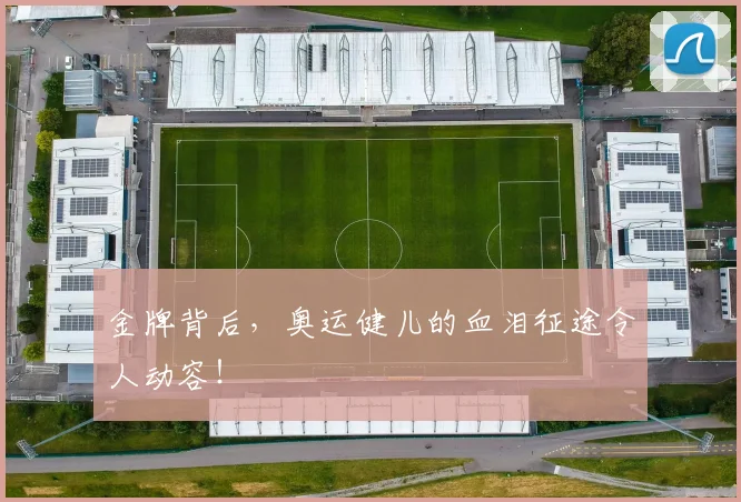 金牌背后，奥运健儿的血泪征途令人动容！